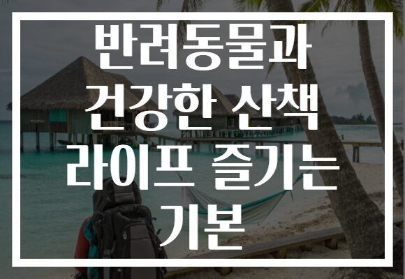 반려동물과 건강한 산책 라이프 즐기는 기본