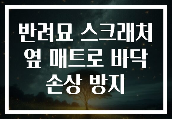 반려묘 스크래처 옆 매트로 바닥 손상 방지