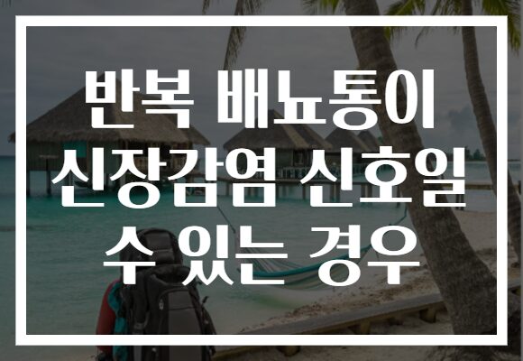 반복 배뇨통이 신장감염 신호일 수 있는 경우