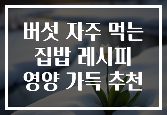 버섯 자주 먹는 집밥 레시피 영양 가득 추천