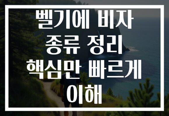 벨기에 비자 종류 정리 핵심만 빠르게 이해