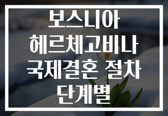 보스니아 헤르체고비나 국제결혼 절차 단계별