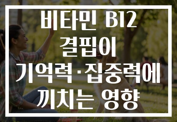 비타민 B12 결핍이 기억력·집중력에 끼치는 영향