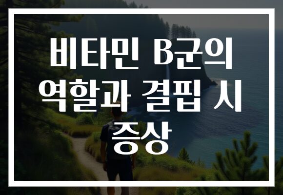 비타민 B군의 역할과 결핍 시 증상