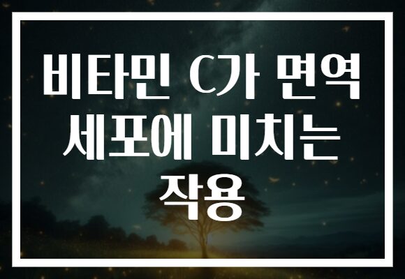 비타민 C가 면역 세포에 미치는 작용