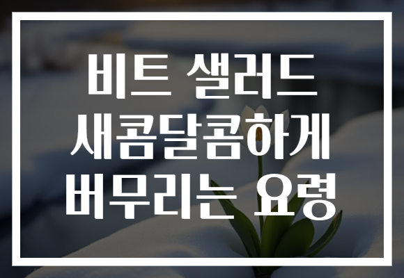 비트 샐러드 새콤달콤하게 버무리는 요령