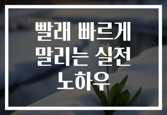 빨래 빠르게 말리는 실전 노하우