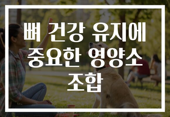 뼈 건강 유지에 중요한 영양소 조합