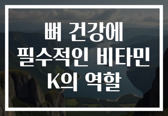 뼈 건강에 필수적인 비타민 K의 역할