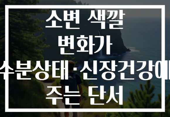 소변 색깔 변화가 수분상태·신장건강에 주는 단서