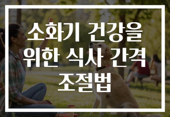 소화기 건강을 위한 식사 간격 조절법