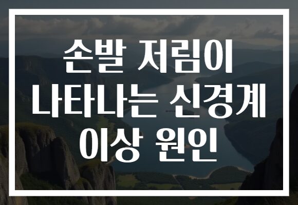 손발 저림이 나타나는 신경계 이상 원인