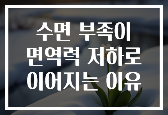 수면 부족이 면역력 저하로 이어지는 이유