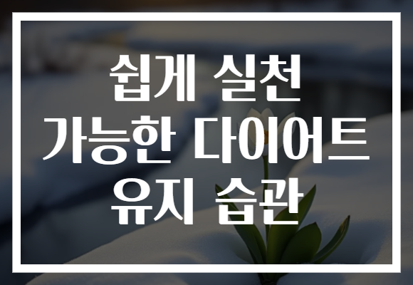 쉽게 실천 가능한 다이어트 유지 습관