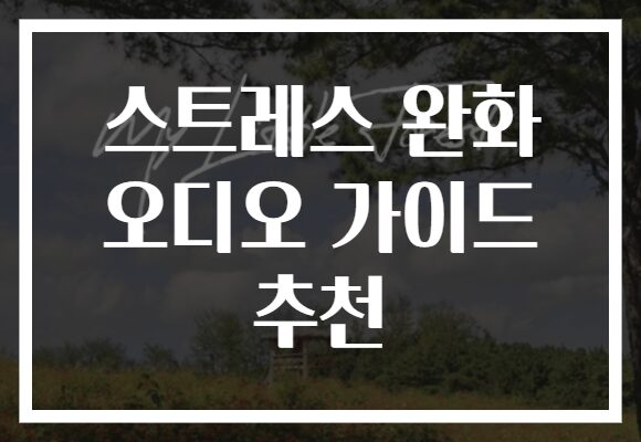 스트레스 완화 오디오 가이드 추천