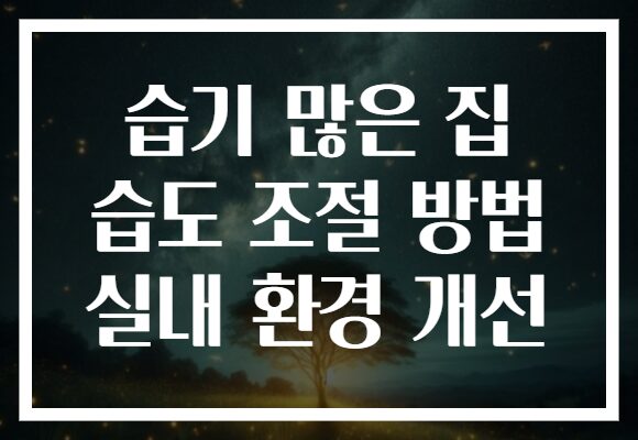 습기 많은 집 습도 조절 방법 실내 환경 개선