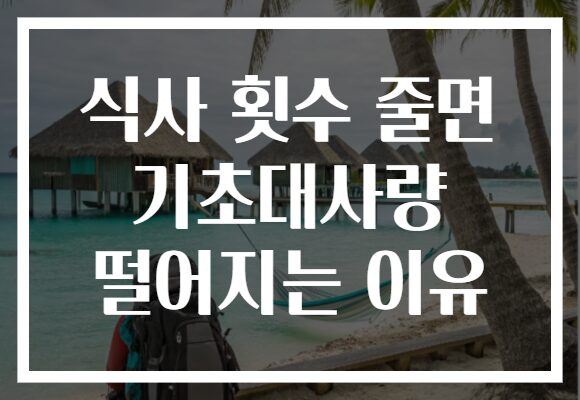 식사 횟수 줄면 기초대사량 떨어지는 이유