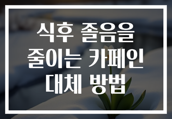 식후 졸음을 줄이는 카페인 대체 방법