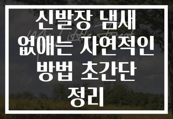 신발장 냄새 없애는 자연적인 방법 초간단 정리