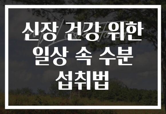 신장 건강 위한 일상 속 수분 섭취법