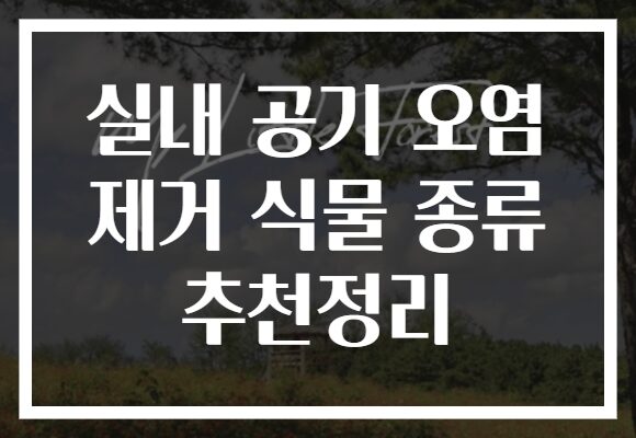 실내 공기 오염 제거 식물 종류 추천정리
