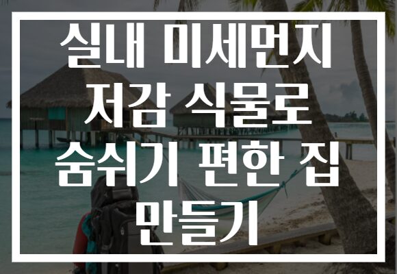 실내 미세먼지 저감 식물로 숨쉬기 편한 집 만들기