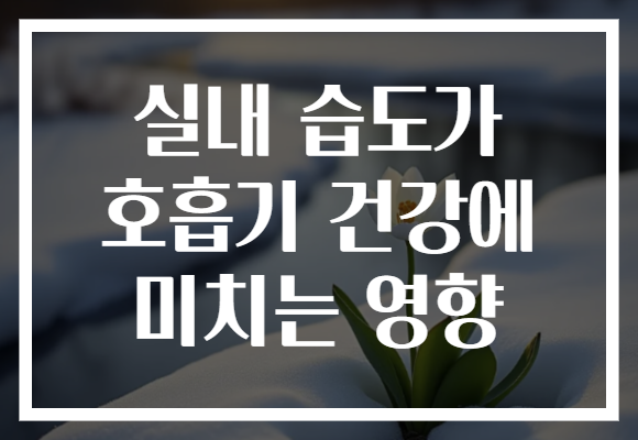 실내 습도가 호흡기 건강에 미치는 영향
