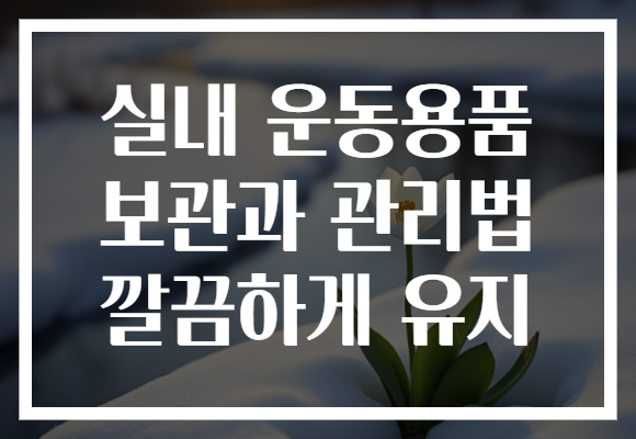실내 운동용품 보관과 관리법 깔끔하게 유지