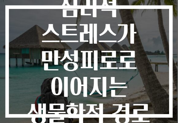 심리적 스트레스가 만성피로로 이어지는 생물학적 경로