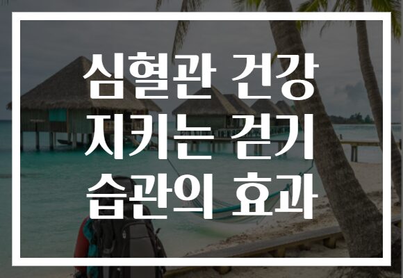 심혈관 건강 지키는 걷기 습관의 효과