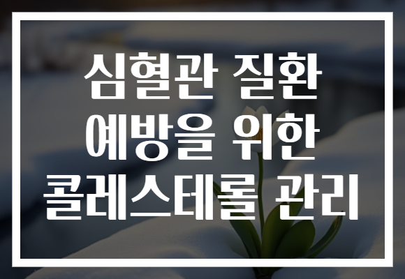 심혈관 질환 예방을 위한 콜레스테롤 관리
