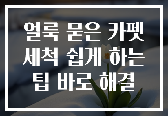 얼룩 묻은 카펫 세척 쉽게 하는 팁 바로 해결