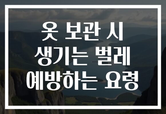 옷 보관 시 생기는 벌레 예방하는 요령