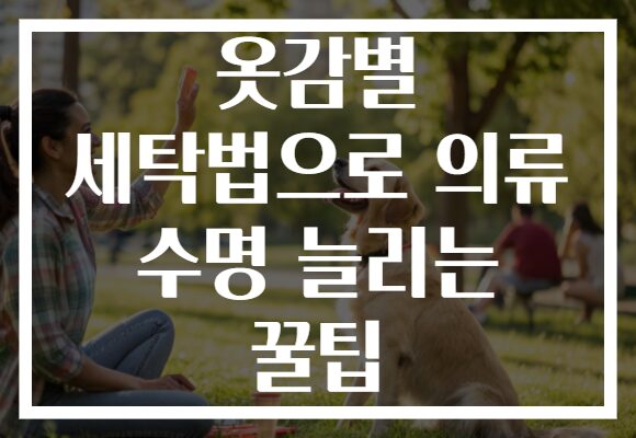 옷감별 세탁법으로 의류 수명 늘리는 꿀팁