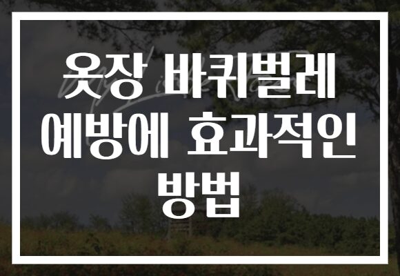 옷장 바퀴벌레 예방에 효과적인 방법