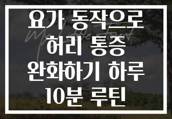 요가 동작으로 허리 통증 완화하기 하루 10분 루틴