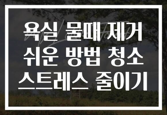 욕실 물때 제거 쉬운 방법 청소 스트레스 줄이기