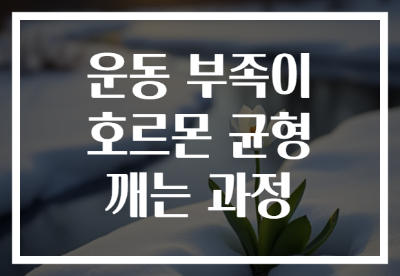 운동 부족이 호르몬 균형 깨는 과정