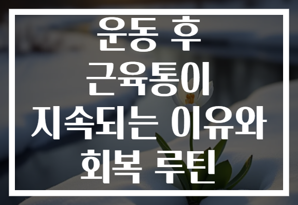 운동 후 근육통이 지속되는 이유와 회복 루틴