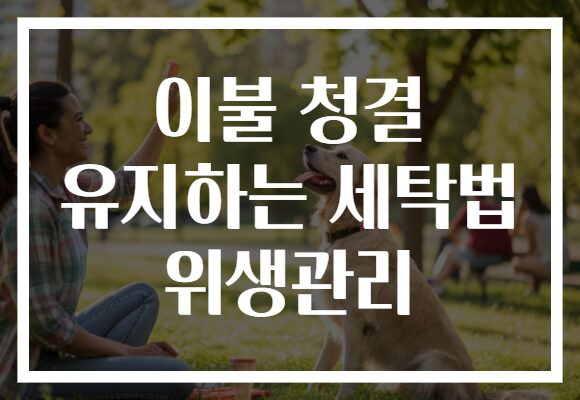 이불 청결 유지하는 세탁법 위생관리