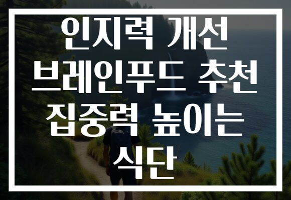 인지력 개선 브레인푸드 추천 집중력 높이는 식단