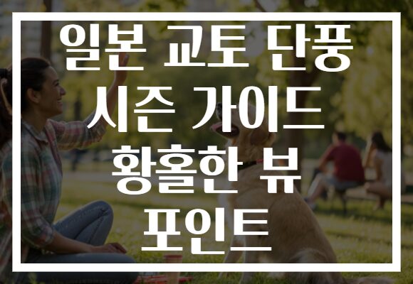 일본 교토 단풍 시즌 가이드 황홀한 뷰 포인트