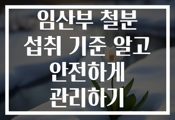 임산부 철분 섭취 기준 알고 안전하게 관리하기