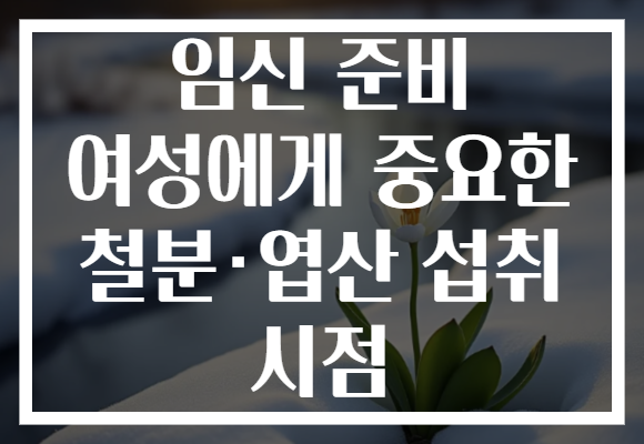 임신 준비 여성에게 중요한 철분·엽산 섭취 시점