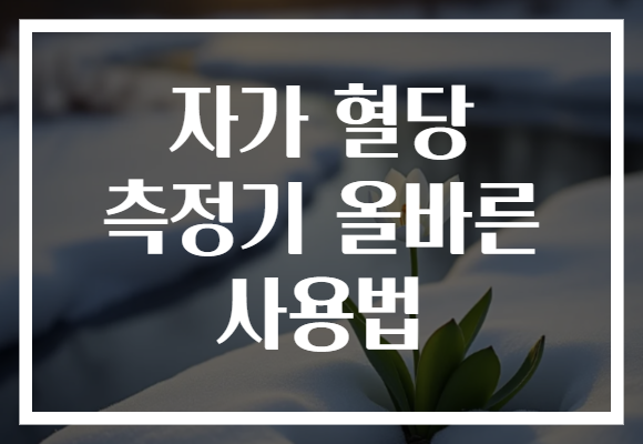 자가 혈당 측정기 올바른 사용법