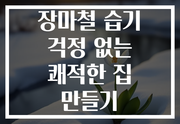 장마철 습기 걱정 없는 쾌적한 집 만들기