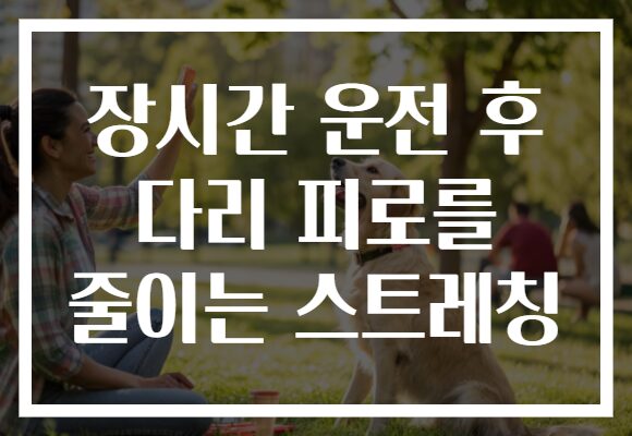 장시간 운전 후 다리 피로를 줄이는 스트레칭