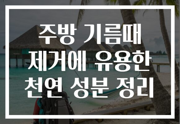 주방 기름때 제거에 유용한 천연 성분 정리