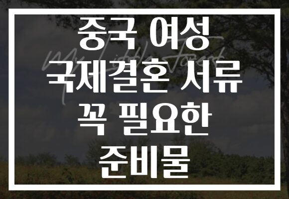 중국 여성 국제결혼 서류 꼭 필요한 준비물