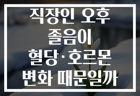 직장인 오후 졸음이 혈당·호르몬 변화 때문일까